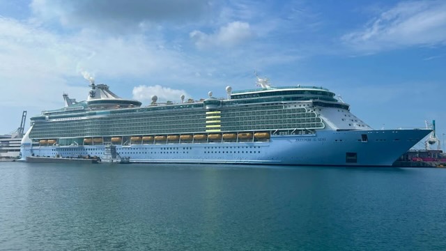 Freedom of the Seas royal caribbean cruise line water slide guide