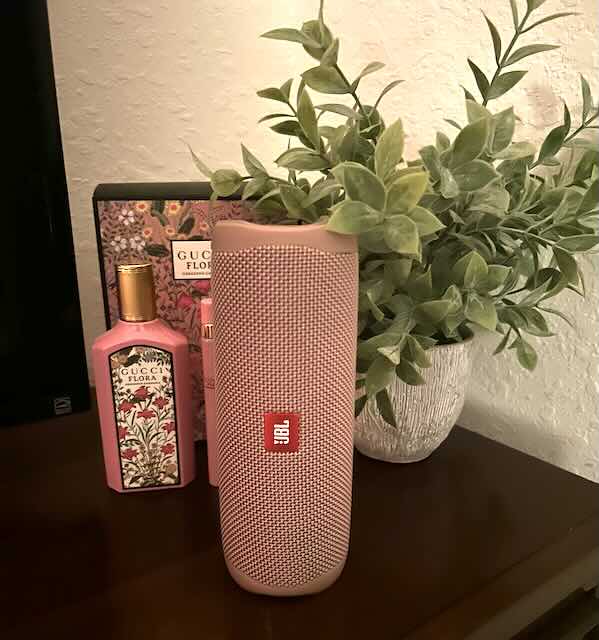 JBL Flip 5 best speaker for cruising my daughter loves hers cruise planning checklist