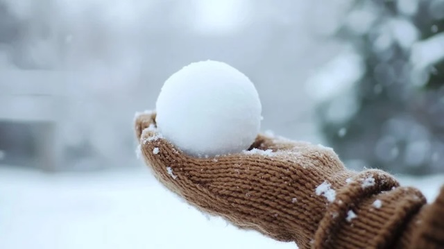 Snowball