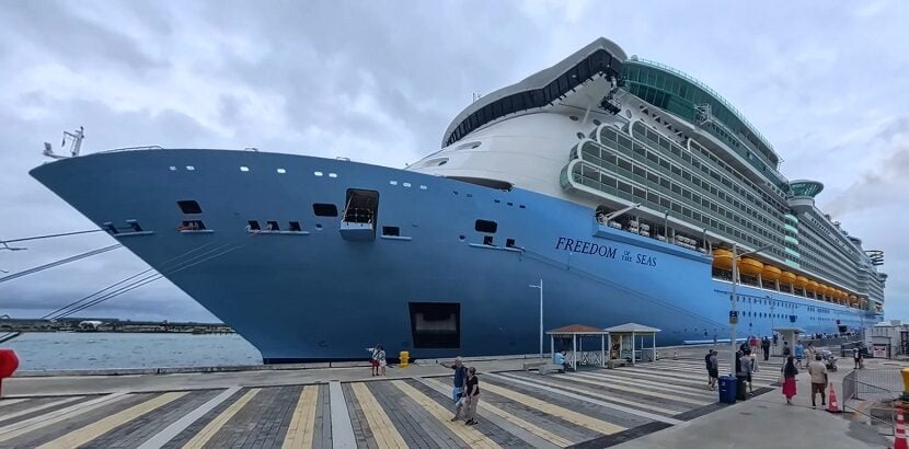 Freedom of the Seas Interior Cabins Guide: 11 Smart Things to Expect 2026