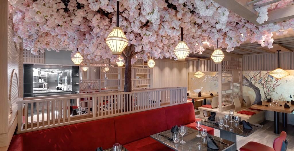 Sakura-themed Japanese restaurant on Explora Journeys ship with cherry blossom ceiling