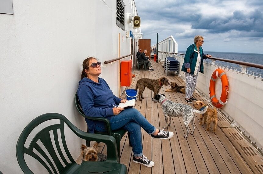 Can you bring a dog on a cruise: Dog walking area on Queen Mary 2