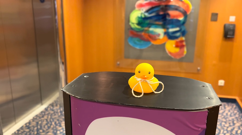 Hide duck on cruise ship