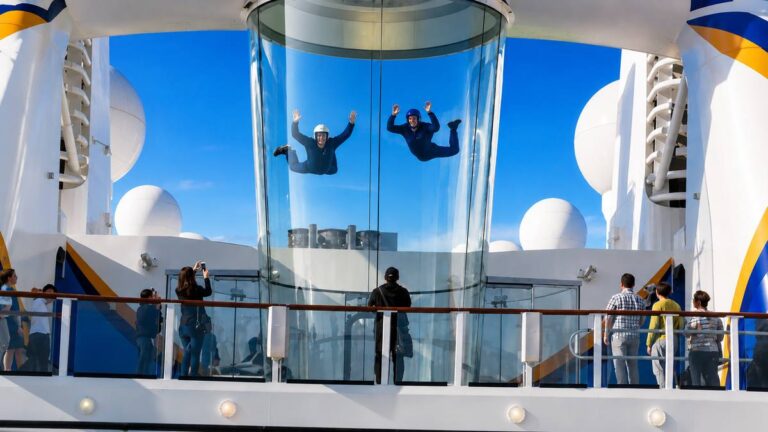 Royal Caribbean Skydiving Simulator