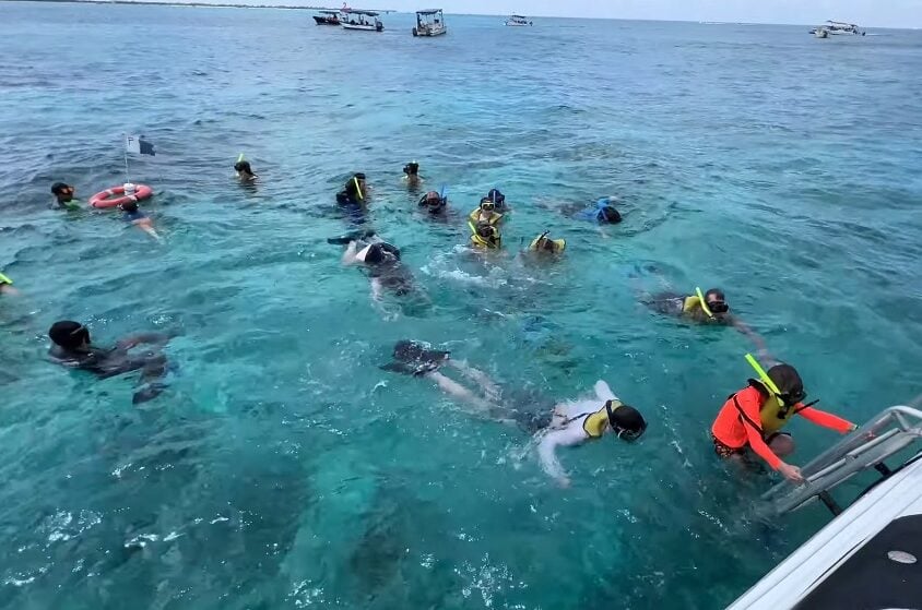 Cozumel Mexico Snorkeling