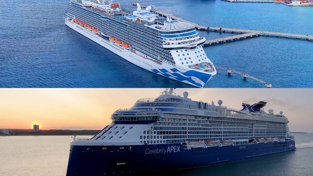 Princess vs Celebrity - Aerial drone view of Princess cruise ship and Celebrity cruise ship