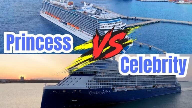 Princess vs Celebrity